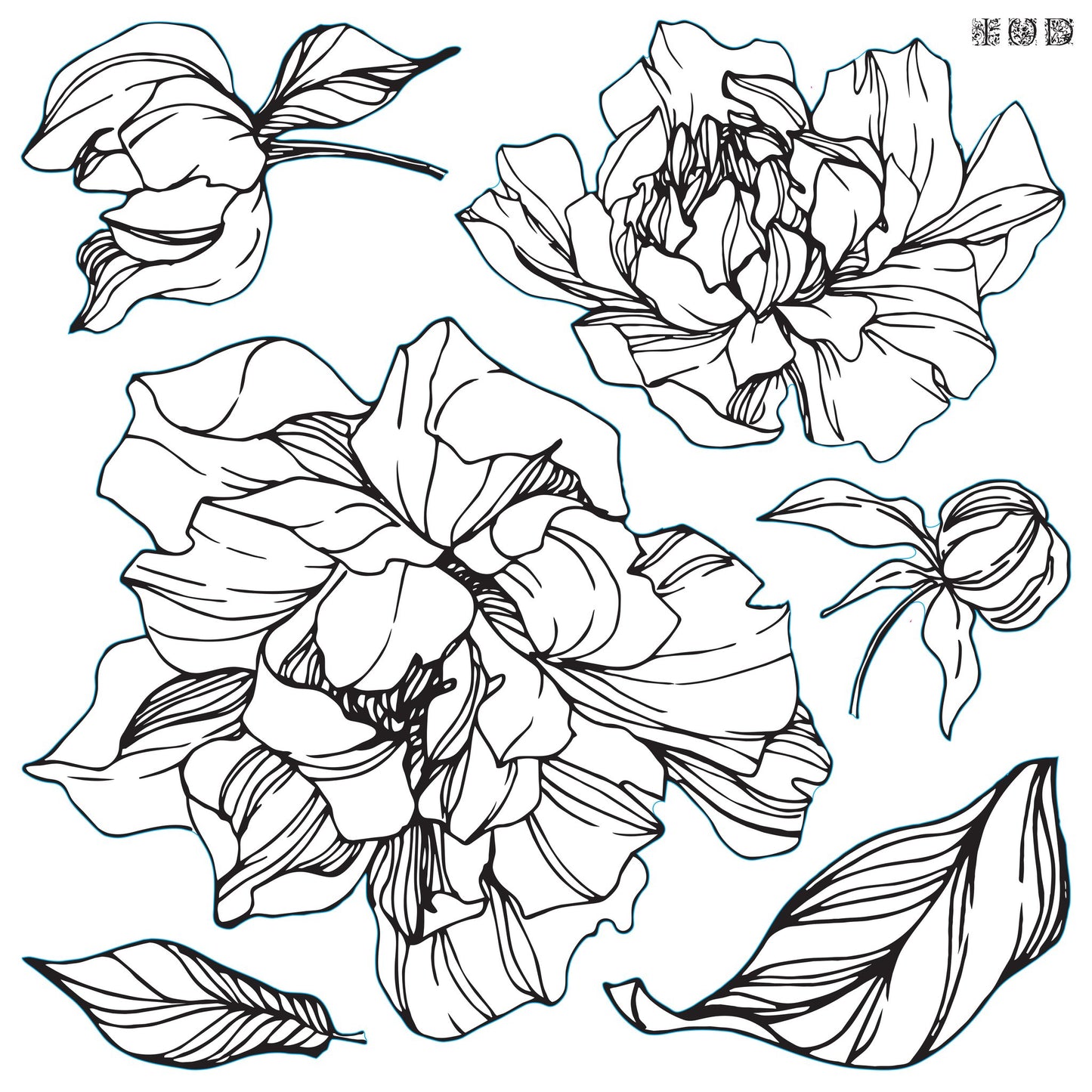 Peonies- IOD decor stamp