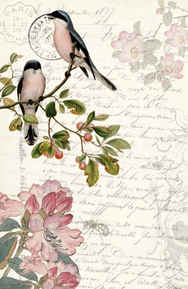 Spring Bird- Roycycled Decoupage Paper