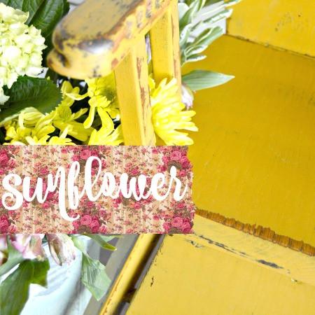 Sunflower- Sweet Pickins Milk Paint